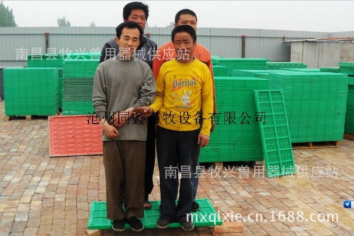 猪羊漏粪地板山东济南临沂复合材料漏粪板复合板兽用猪场自动料线