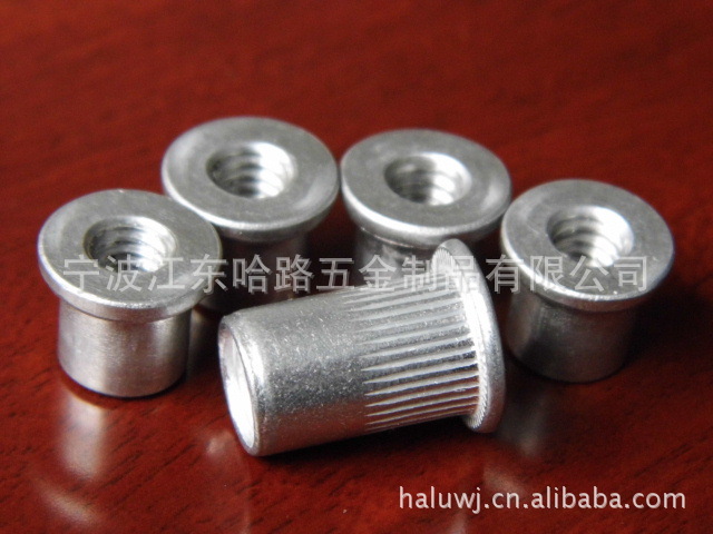 自行车水壶铝螺母，非标冷镦件螺丝，铆螺母，不锈钢T形件，铆钉