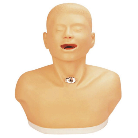 BC/70 成人气管切开护理模型,气管护理实习模型