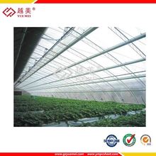 ����10mm͸������¡��ô��?'Խ��'����ꖹ������Xһ��?