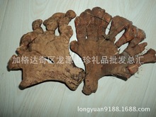 东北野生灵芝大兴安岭灵芝野灵黑林芝保健生态宝大兴安岭特产