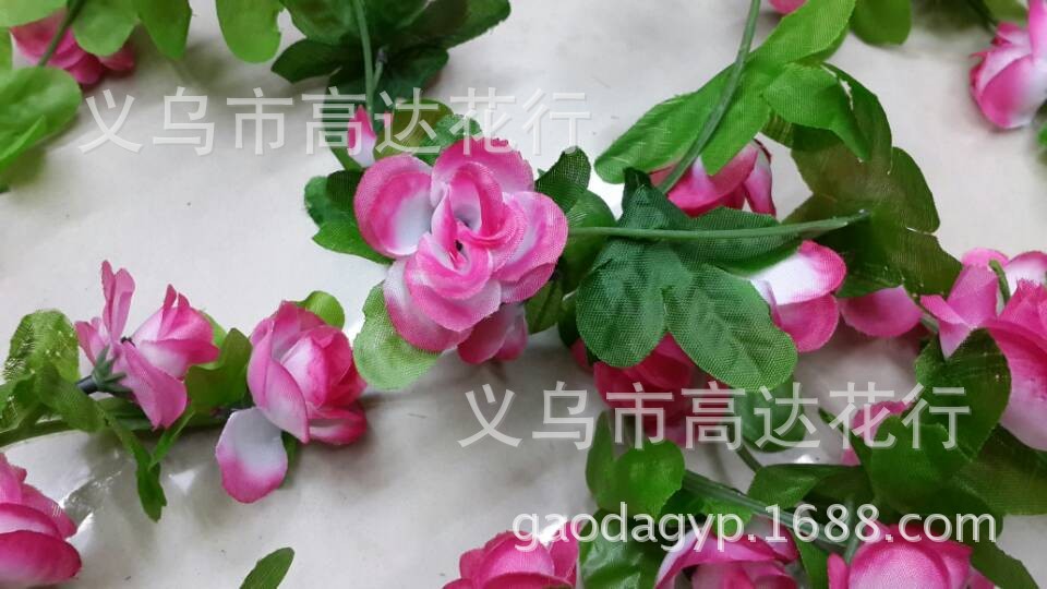小牡丹