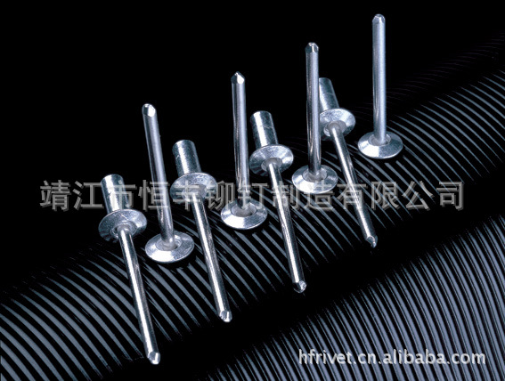【恒丰铆钉】厂家供应 铝不锈钢封闭大帽型铆钉