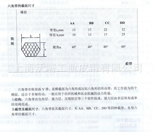 ������ɫ�к��VECTOR POWER �������Ǵ� ���������Ǵ� BB��