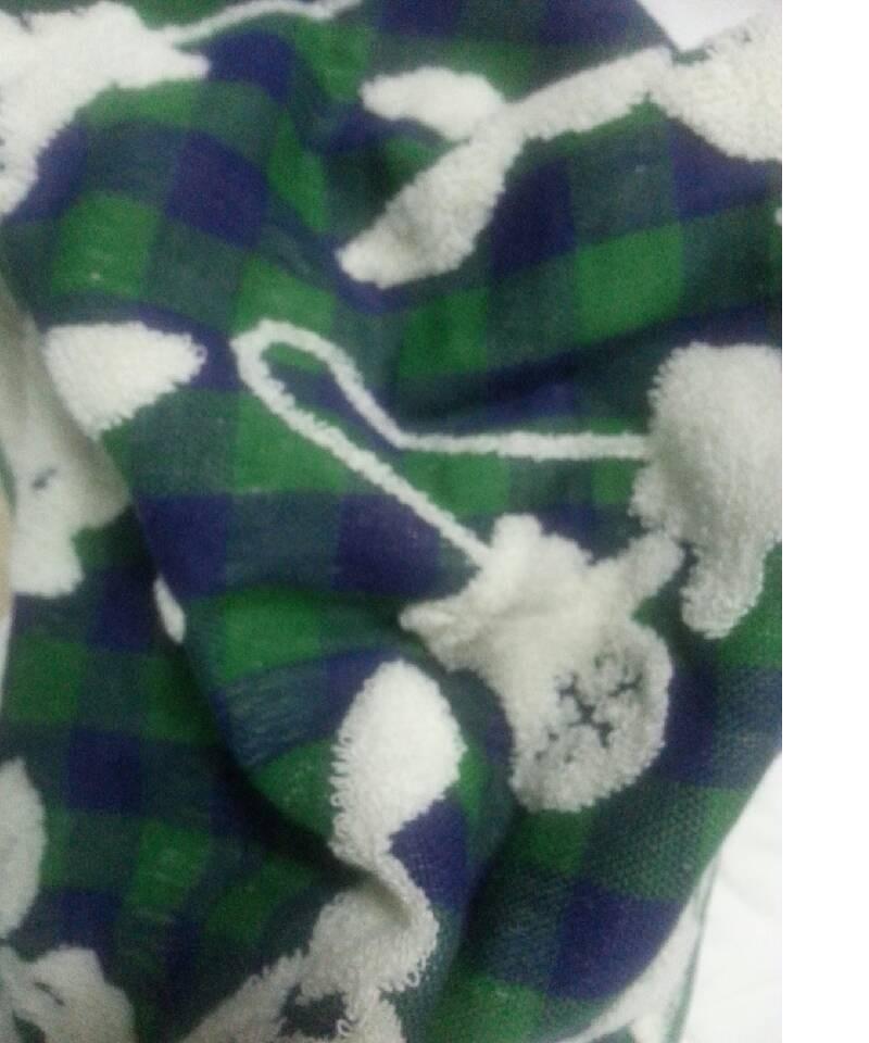 供应各种规格的针织全棉毛巾布 梭织高档双面毛圈毛巾布