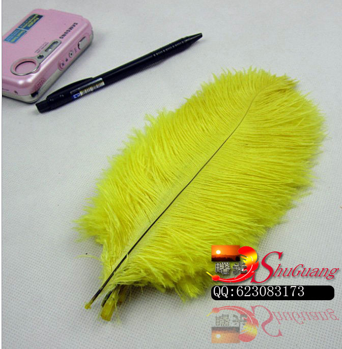 鸵鸟毛 45-50公分的 不等尺寸 颜色自选 用于舞台，服装，详情图9