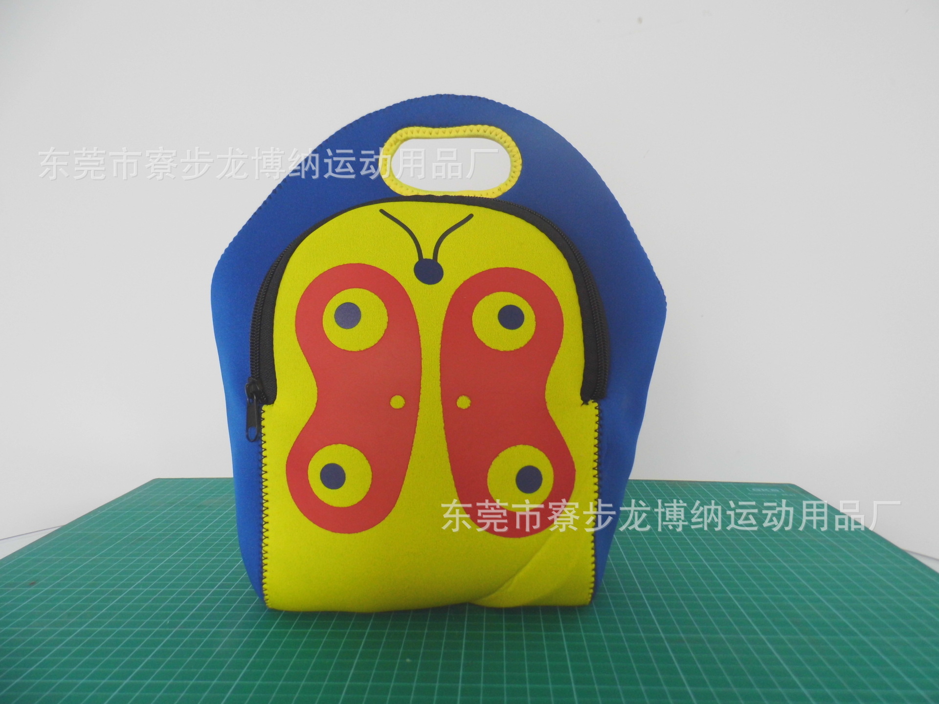 DSCI0011