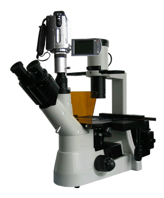 BM-38XBV摄像倒置荧光显微镜  