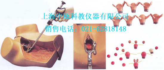 F35型 高级妇科综合检查训练模型,妇婴技能实习模型,人体解剖模型