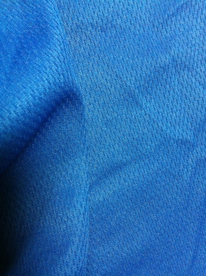 供应75D72F超细风格鸟眼布 运动面料 吸湿速干 可以做吊牌原料