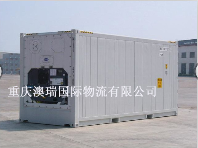 20尺冷冻集装箱，全新箱况，预售中~~