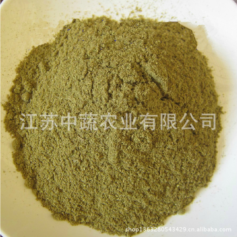 供应小茴香粉 茴香粉 调味料 香辛料 1000g