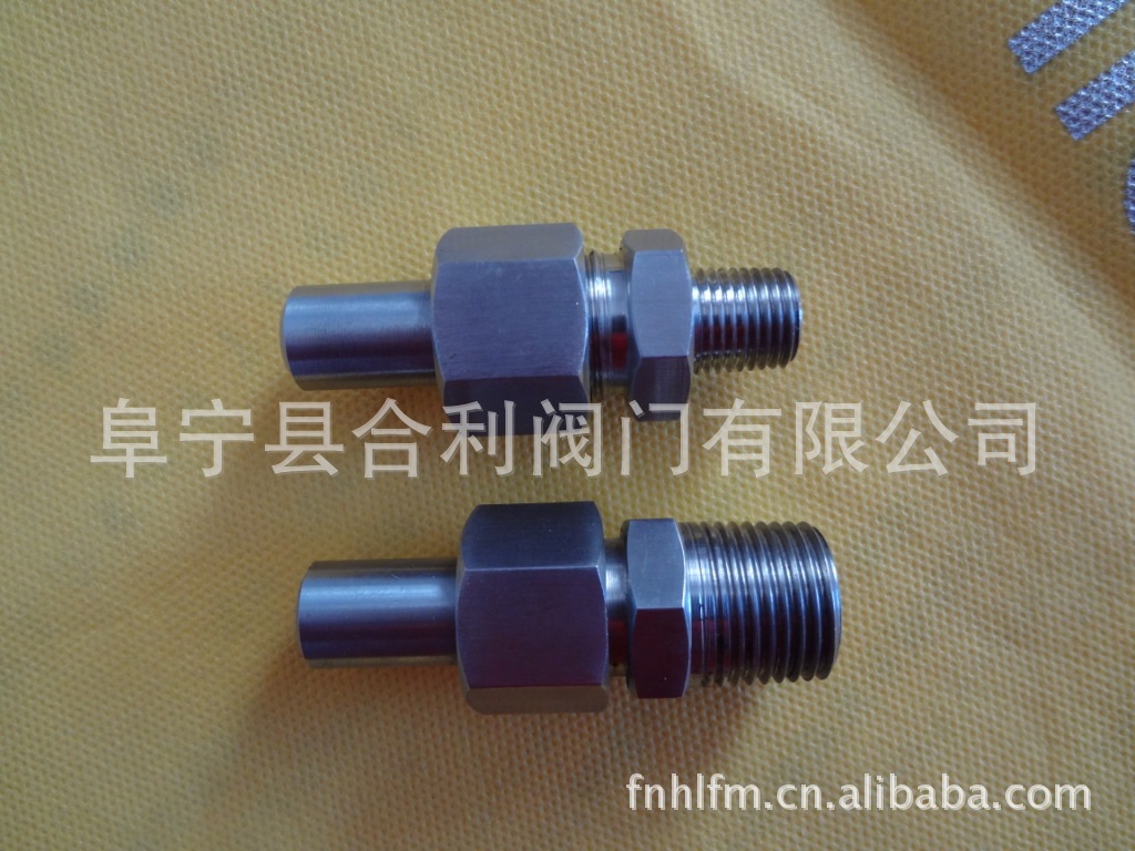 供应NPT不锈钢过程转换接头