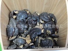 灵芝东北大兴安岭灵芝灵芝批发野生纯天然黑灵芝药材野生黑灵芝