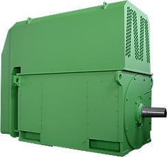 Y5008-10 560KW 6KV三相异步电动机 中型鼠笼高压电机