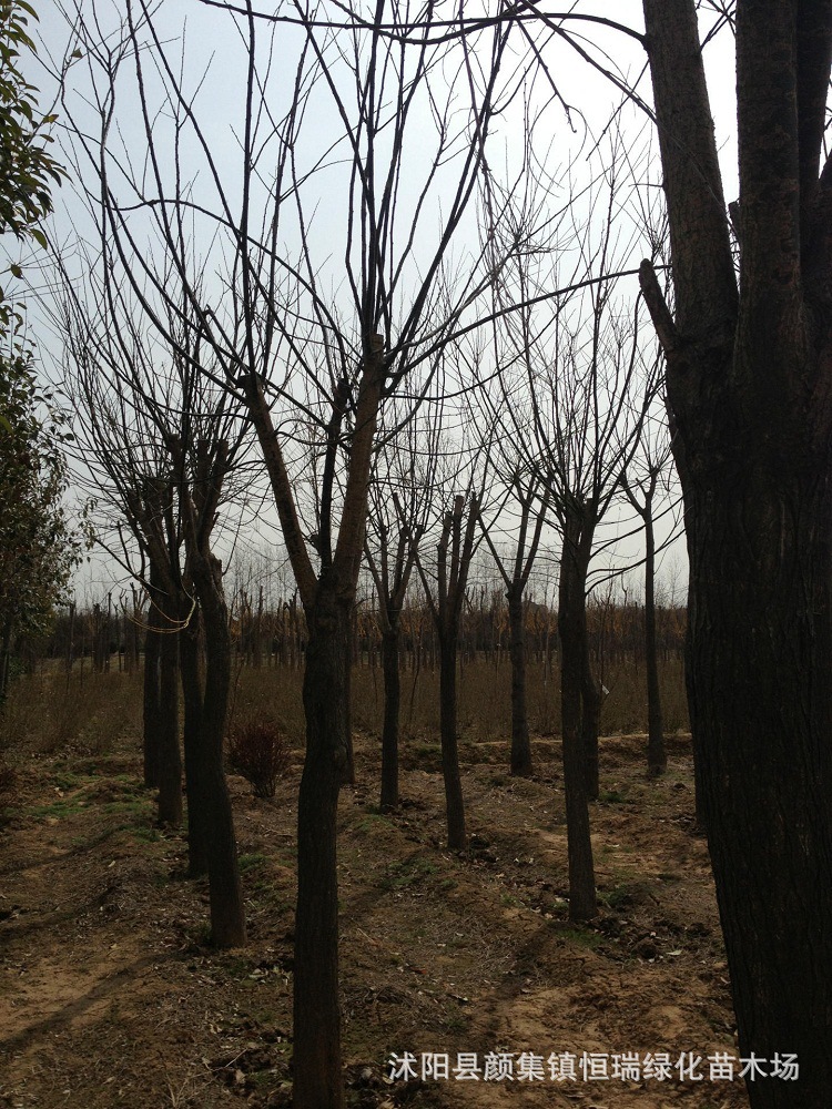 1082997549_22184145[2]