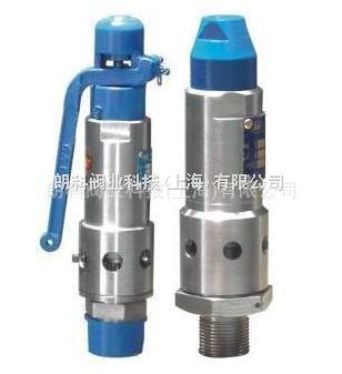 TWA21、TWA28型安全阀朗科安全阀DN25-DN100
