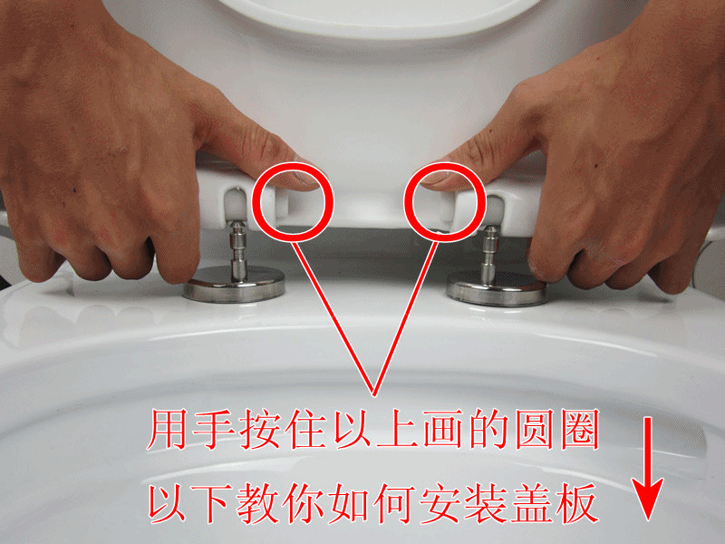 蓋