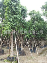 ����13-16���ּ�ֲ�L�~�ţ����~�ţ�ȫ����