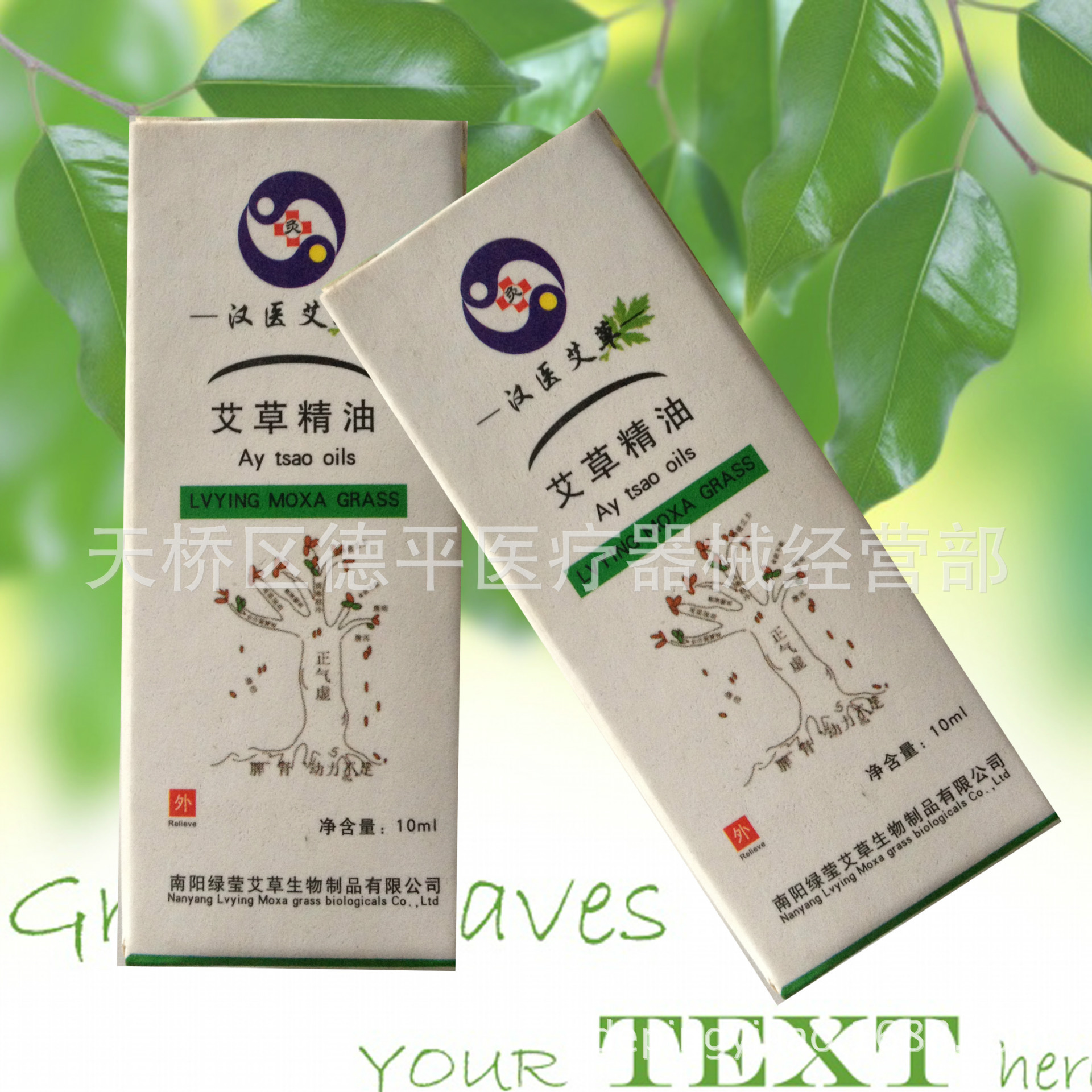 照片 011