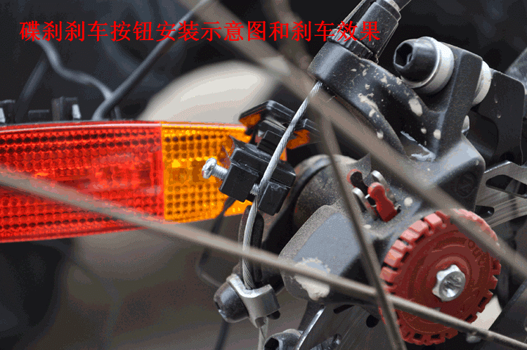 Lumière vélo - Taillights - Ref 2400113 Image 13