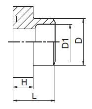 1FLW / 1FSW-W SAE 法兰-焊接管