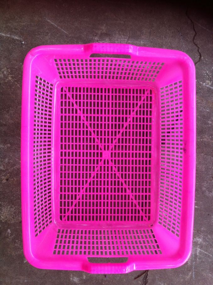塑料篩1