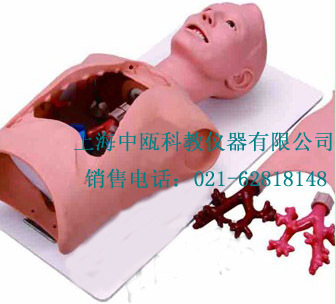 LV48型 支气管内窥镜训练模型,医学模型l人体模拟人,l医学实习台