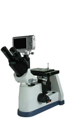 BM-4XCS数码金相显微镜 