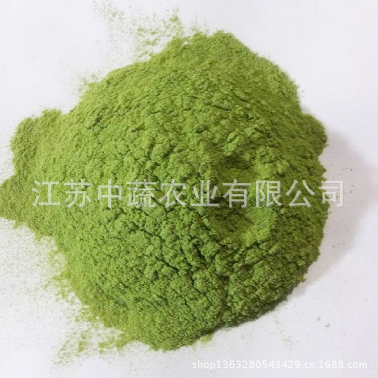 供应大麦苗粉 小麦苗粉 脱水大麦苗粉 脱水小麦苗粉200目