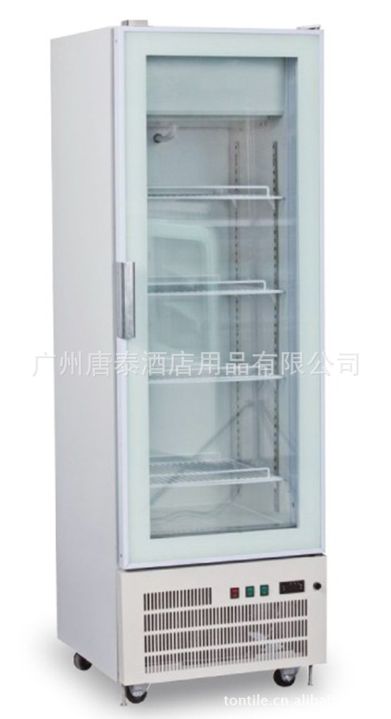 厂家供应冰淇淋冷柜G348lfb立式冷冻冰淇淋柜