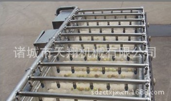 供应优质大枣清洗流水线  天翔 生产厂家供应售后保障