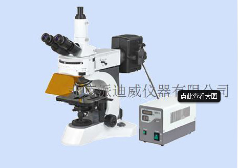 YG-800实验室荧光显微镜 临床诊断、教学实验、病理检测