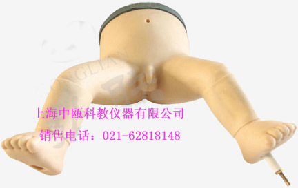 诊断模型|L65B型 高级婴儿骨髓穿刺模型,医学教学模型实验室装备