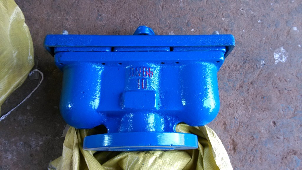 双口排气阀 快速排气阀 QB2-10 DN200 厂家直销 质优价美