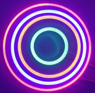 12[WRA[]ZBCLT(MFEYFP~B7