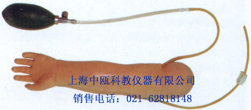 动脉模型|动脉⑤、HS37型 高级婴儿动脉穿刺训练模型