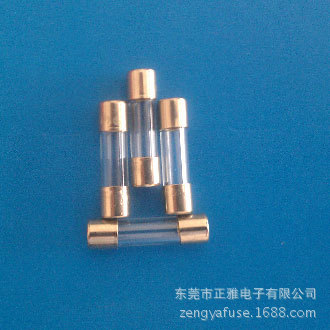 厂家批发玻璃管保险丝5*20mm 保险管带引线脚全玻璃保险丝熔断器