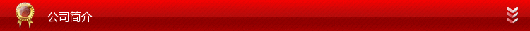 公司简介