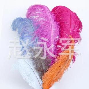 �S��ֱ�N����50-55cm��ʻ�c��̨����r�B��ë �r�B��ë��