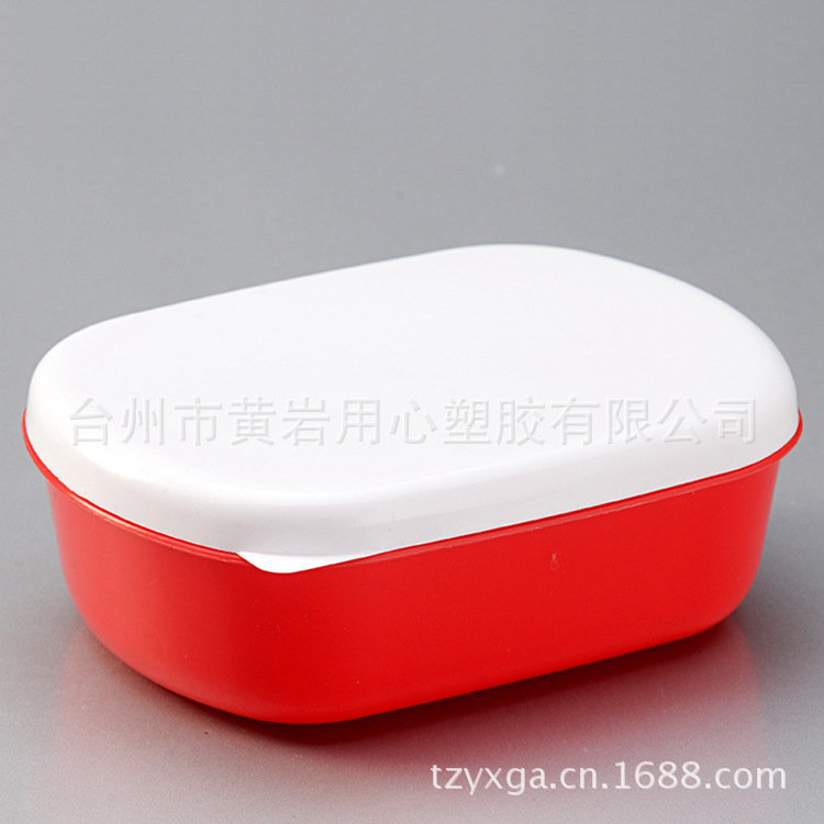 Cartoon plastic children's lunch box for students