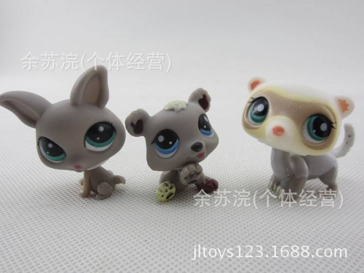 调整大小 IMG_6263