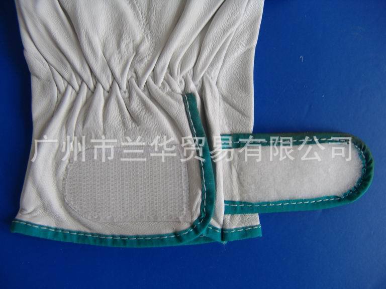 02JT-CG-O09 ţͷ��Ƥ�����ͱ����� ������ ������Ƥ��