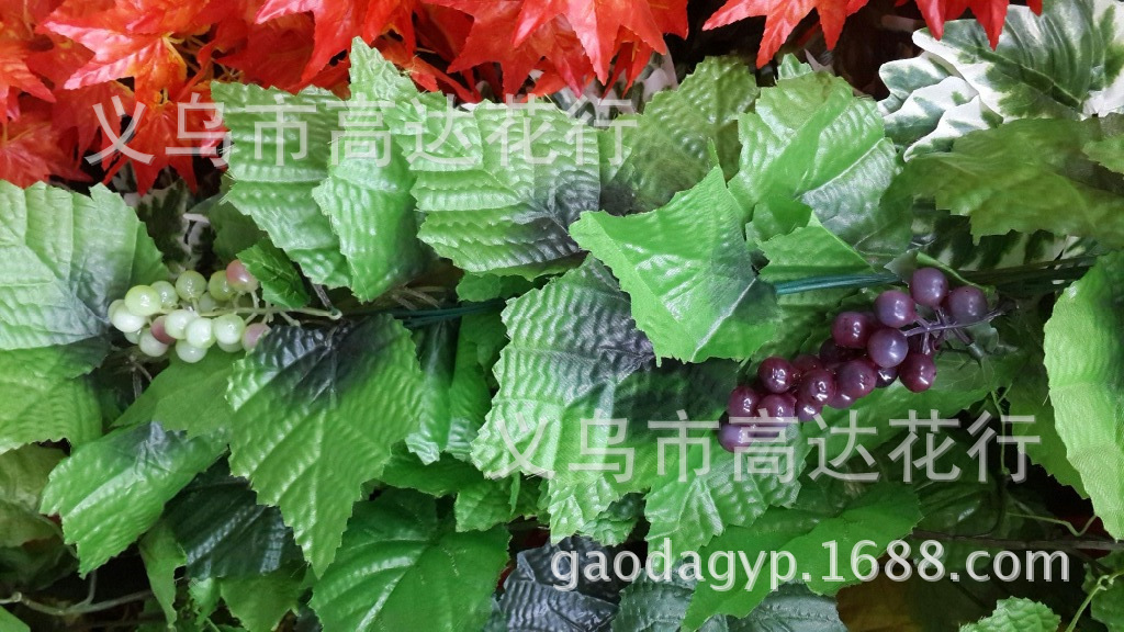 22头小圆4串葡萄1