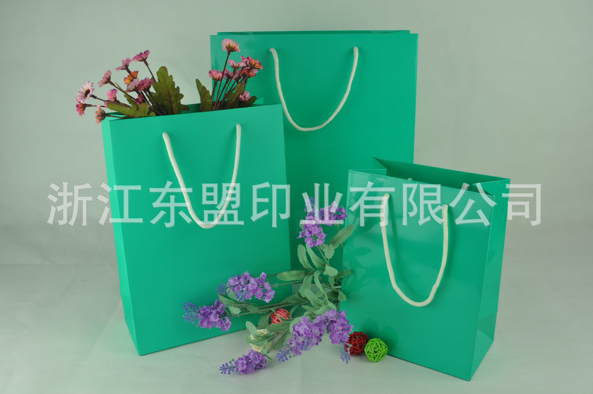 新款 标准尺寸 210g 绿色 白卡纸 覆亚膜 高档礼品纸袋