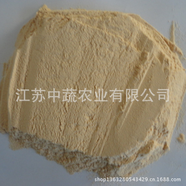 供应批发脱水红洋葱粉  规格80-120目  AD红洋葱粉