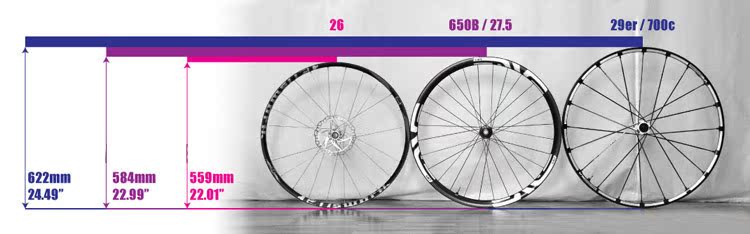 T2dOYPXclbXXXXXXXX_!!158860929