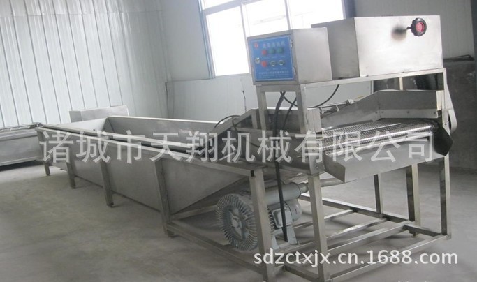 供应气泡清洗机 果蔬清洗机 绿色蔬菜清洗机厂家供应售后保障