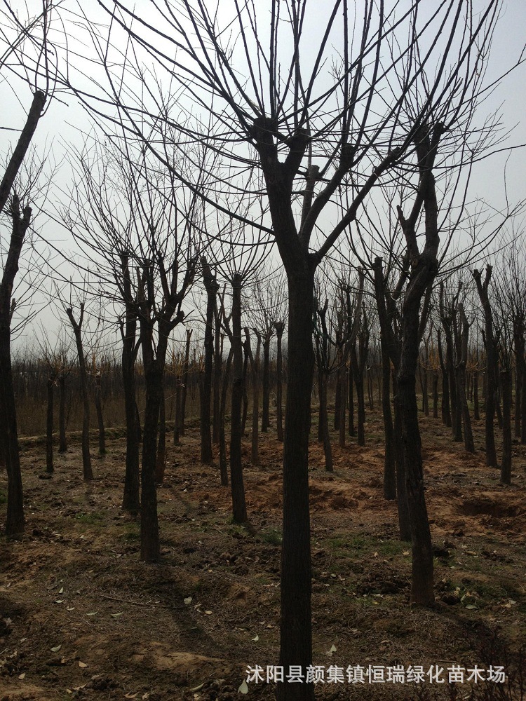 1082997614_22184145[1]