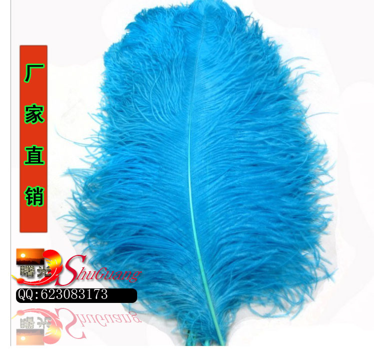 鸵鸟毛 45-50公分的 不等尺寸 颜色自选 用于舞台，服装，详情图7
